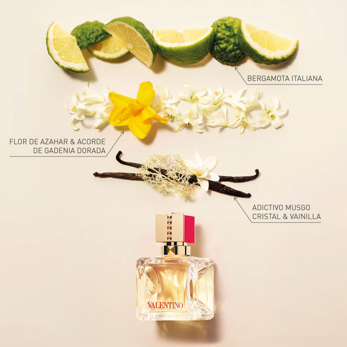 VOCE VIVA EAU DE PARFUM (SET DE FRAGANCIA PARA MUJER)